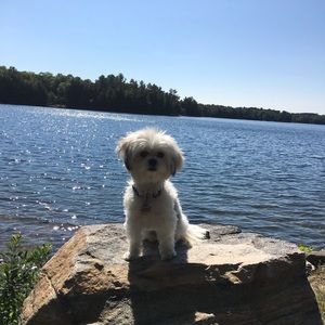 Meet your Posher, Lisa